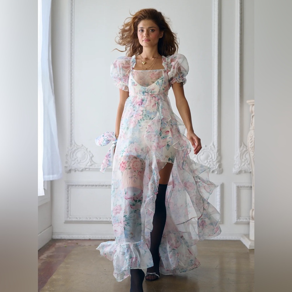 The Cotswolds Sheer Delight Ruffle Gown 1XL NWT